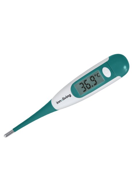 TERMOMETRO DIGITALE SONDA FLES