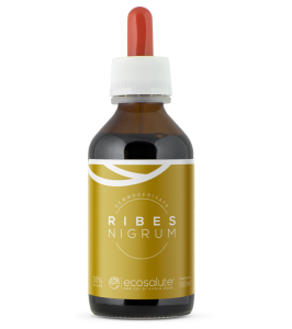 RIBES NIGRUM GEMMODERIV 100ML