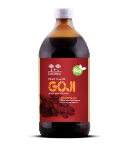 SALUGEA SUCCO GOJI BIO 500ML