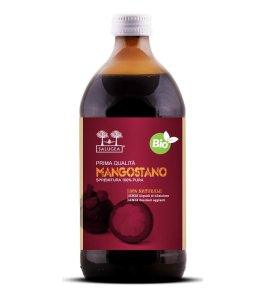 SALUGEA SUCCO MANGOSTANO500M BIO