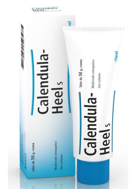 HEEL CALENDULA SALBE POMATA M 50 G