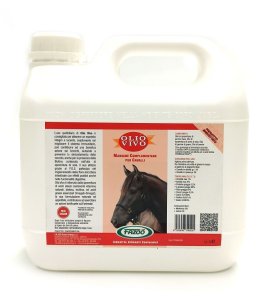 OLIO VIVO CAVALLI 3L