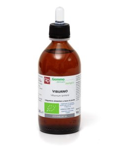VIBURNO MG BIO 200ML FTM