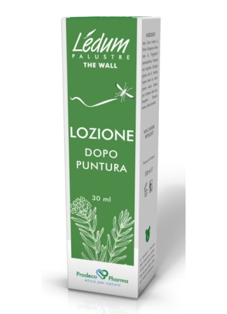 LEDUM THE WALL LOZ DOPO PUNT
