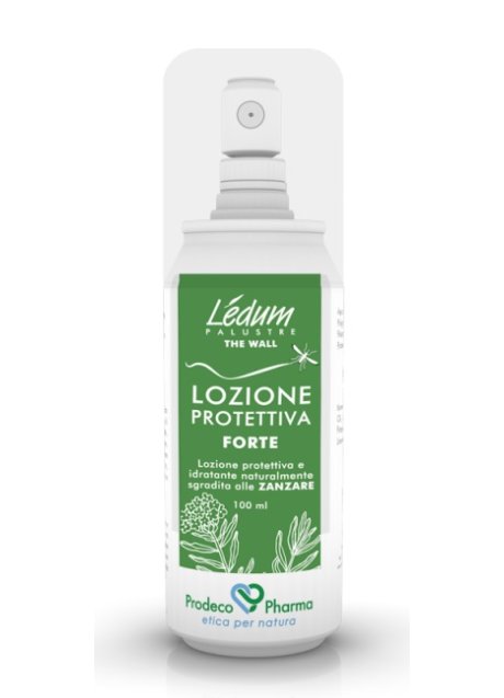 LEDUM THE WALL LOZ PROT FT