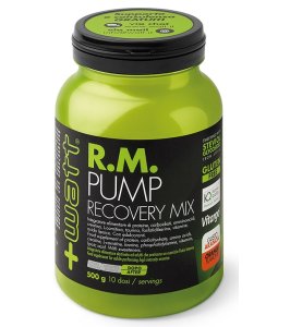 RM PUMP RECOVERY MIX ARA 500G