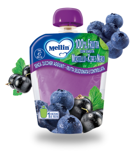 MELLIN POUCH MIRTILLO RIBES 90G