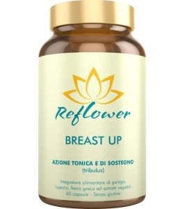 REFLOWER BREAST UP 60CPS