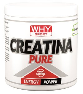 WHYSPORT CREATINA PURE 300G