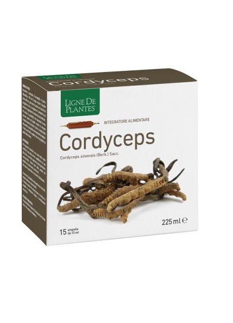 CORDYCEPS 15AB 15ML