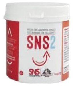 SNS2 100G