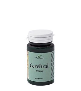 CEREBRAL AYURVED 60CPS PHYTOIT