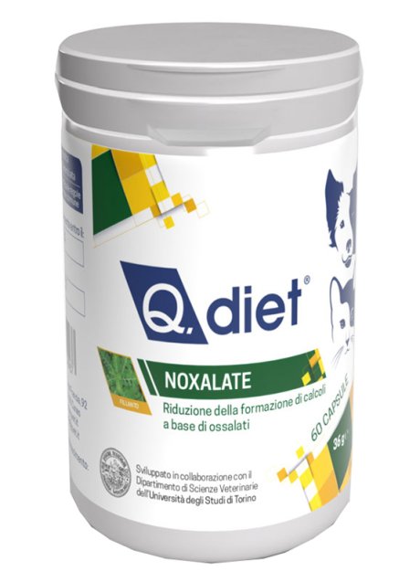NOXALATE COMPRESSE 60 COMPRESS