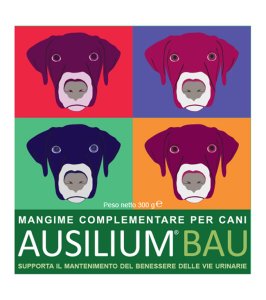 AUSILIUM BAU 300 G CON MISURINO