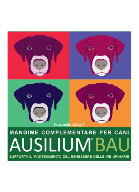 AUSILIUM BAU 300 G CON MISURINO