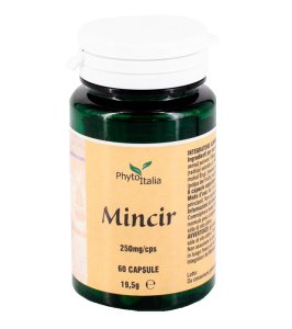 MINCEUR AYURVED 60CPS