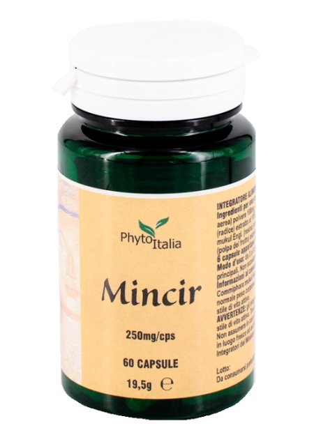 MINCEUR AYURVED 60CPS