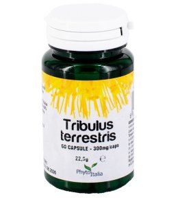 TRIBULUS TERRESTRIS 60CPS