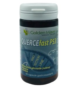 QUERCEFAST P53 60CPS GASTRO