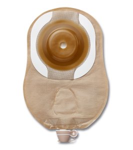 HOLLIS.MOD.FL.10S.TR.2979038