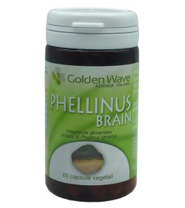 PHELLINUS BRAIN 60 CAPSULE VEGETALI