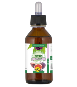 FICUS CARICA GEMMODERIV 100ML