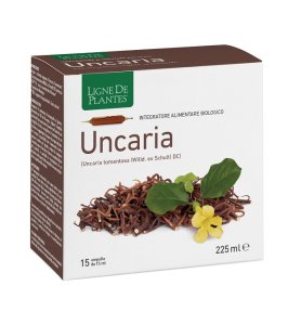 LIGNE UNCARIA BIO 15AMP 15ML