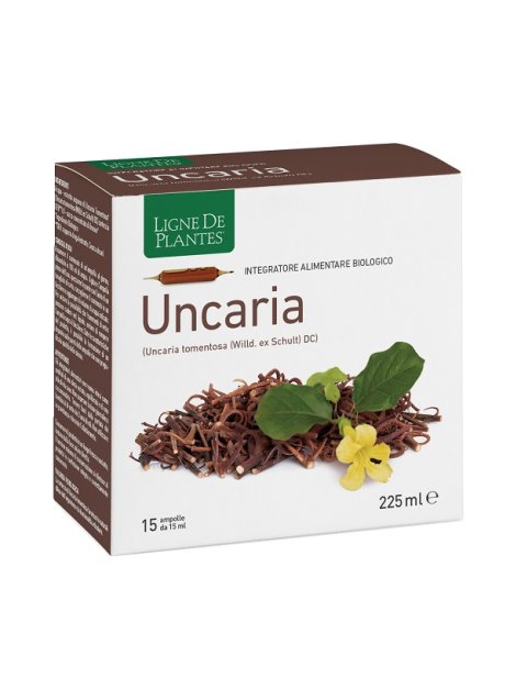 LIGNE UNCARIA BIO 15AMP 15ML