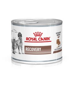 RECOVERY LATTINE R.C. 195GR