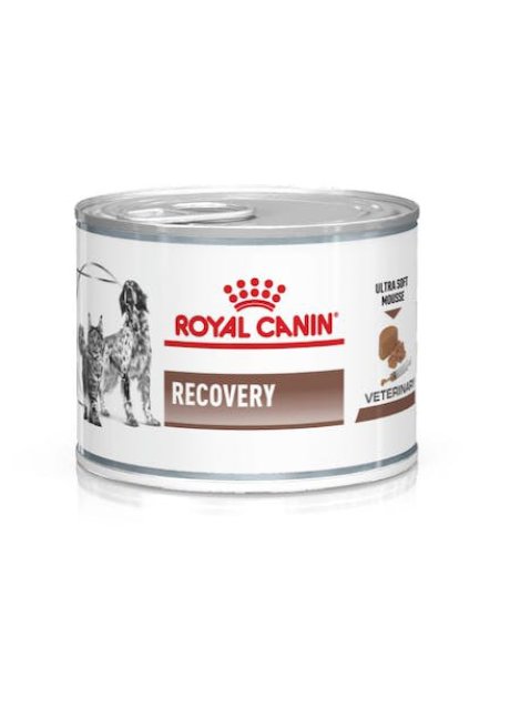 RECOVERY LATTINE R.C. 195GR