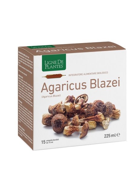 AGARICUS BLAZEI BIO 15AMP 15ML