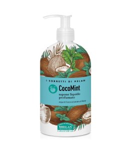 I SORBETTI COCOMINT SAP 500ML