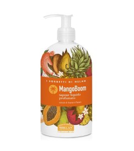 I SORBETTI MANGOBOOM SAP 500ML