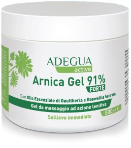 ADEGUA ARNICA PLUS 91% GEL EXT