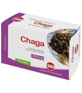 CHAGA FUNGO ES 60CPS