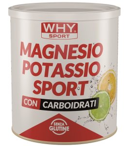 WHYSPORT MAGNESIO POTASS S300G