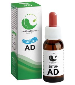SETUP AD MERIDIAN FLOWERS REM