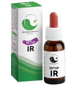 SETUP IR MERIDIAN FLOWERS REM