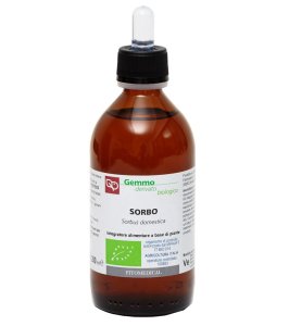 SORBO MG BIO 200ML
