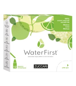 WATERFIRST MELON LIME MEL12STK