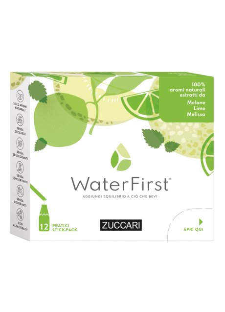 WATERFIRST MELON LIME MEL12STK