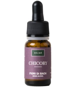 CHICORY 10ML