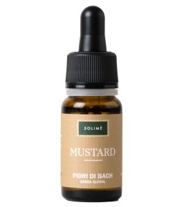 MUSTARD 10ML