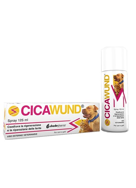 CICAWUND SPRAY 125ML
