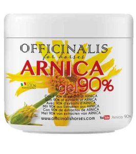 ARNICA GEL 90% 500 ML