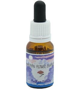AUTHENTICITY ESSENZA 15ML NATUR