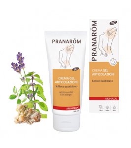 PRANAROM GEL ARTICOL BIO 100ML