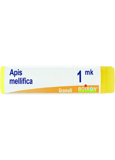 APIS MELLIFICA MK GL BO
