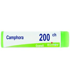 CAMPHORA 200CH GL