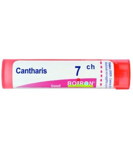 CANTHARIS GR 7CH BO